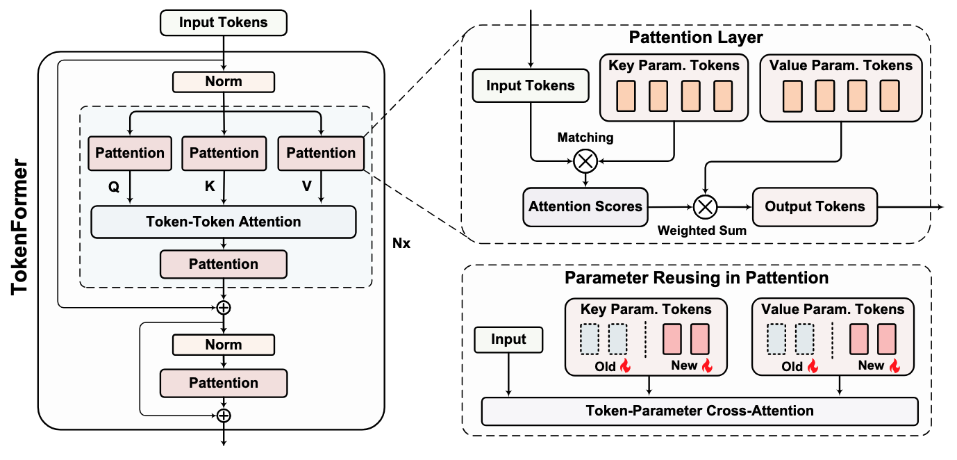 Token-Parameter Attention